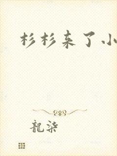杉杉来了小说