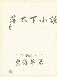 落不下小说txt