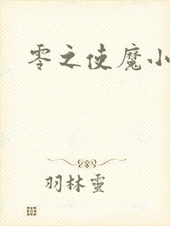 零之使魔小说