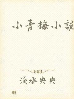 小青梅小说封面