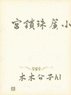 宫锁珠帘小说