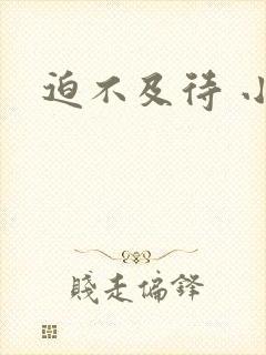 迫不及待 小穴