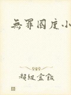 无罪国度小说