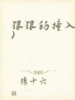 狠狠的撞入(h)