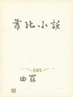 靠比小说封面