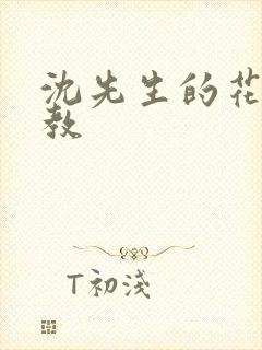 沈先生的花式管教