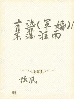 有染(军婚)/叶落淮南封面