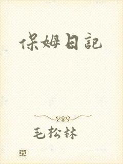 保姆日记封面