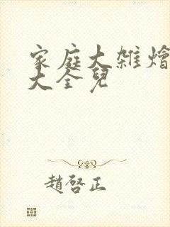 家庭大杂烩小说大全儿