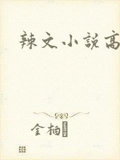 辣文小说高h封面