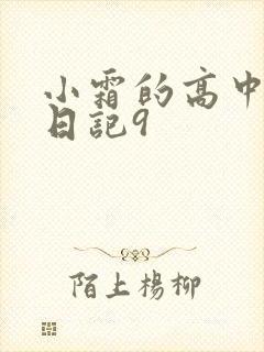 小霜的高中成长日记9封面