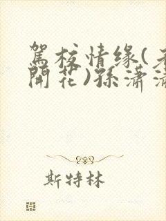驾校情缘(老树开花)孙潇潇第一次趣笔阁