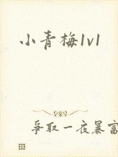 小青梅1v1封面