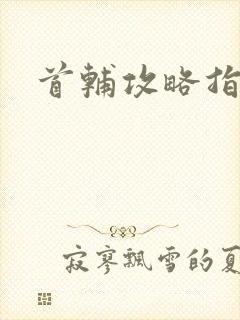 首辅攻略指南