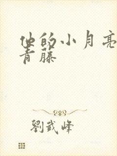 他的小月亮by青藤封面