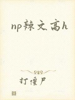np辣文高h