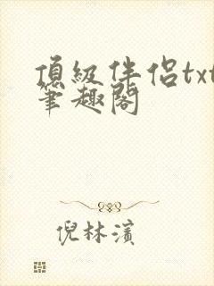 顶级伴侣txt笔趣阁封面