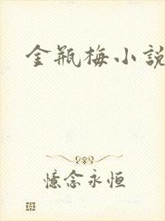 金瓶梅小说在线