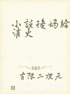 小说后妈给我消消火