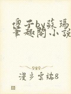 傻子by苏玛丽笔趣阁小说封面