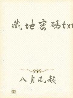 藏地密码txt