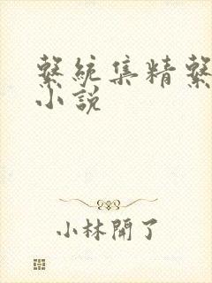 系统集精系统 小说