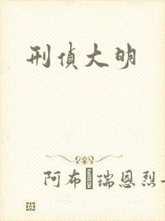 刑侦大明