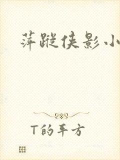 萍踪侠影小说