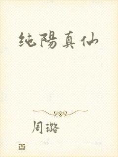 纯阳真仙