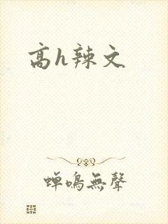 高h辣文封面