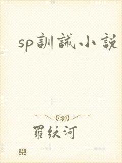 sp训诫小说