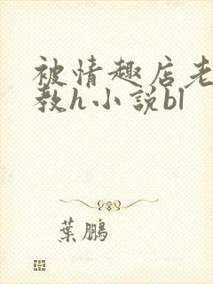 被情趣店老板调教h小说bl