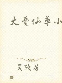 大爱仙尊小说