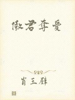 傲君夺爱封面