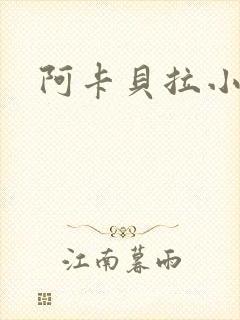 阿卡贝拉小说