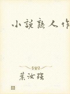 小说熟人作案