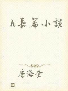 h长篇小说