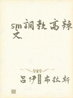 sm调教高辣h文