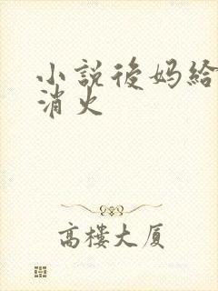 小说后妈给我消消火