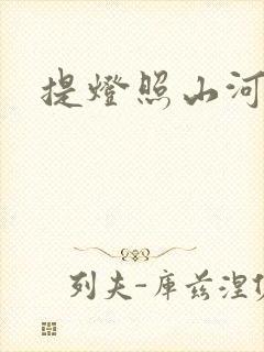 提灯照山河封面