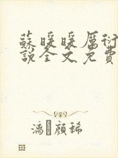 苏暖暖厉衍琛小说全文免费阅读