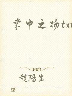 掌中之物txt