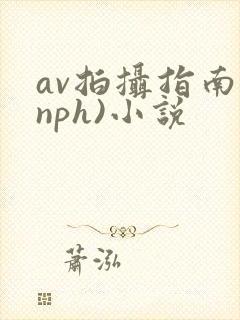 av拍摄指南(nph)小说封面