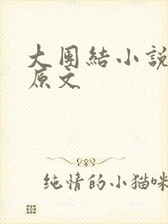 大团结小说阅读原文