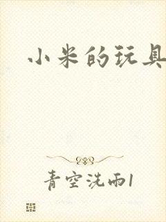 小米的玩具日记