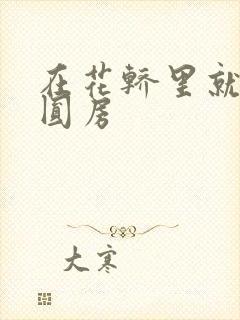 在花轿里就开始圆房