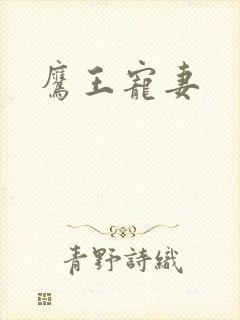 鹰王宠妻