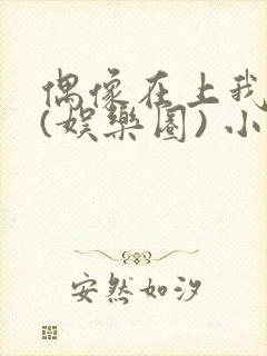 偶像在上我在下(娱乐圈) 小说免费阅读