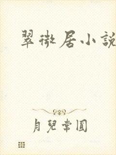 翠微居小说封面