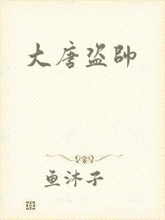 大唐盗帅
